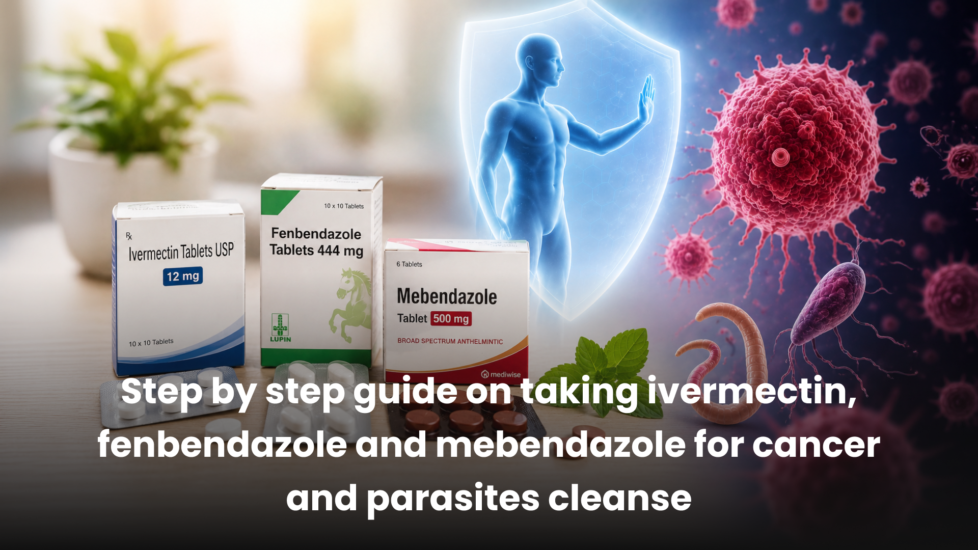 Step by step guide on taking ivermectin, fenbendazole and mebendazole for cancer and parasites cleanse